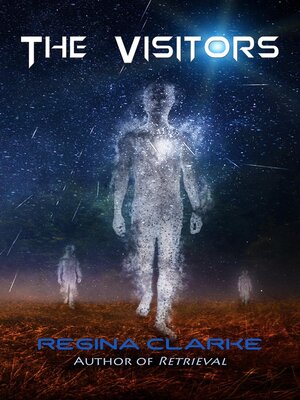 cover image of The Visitors